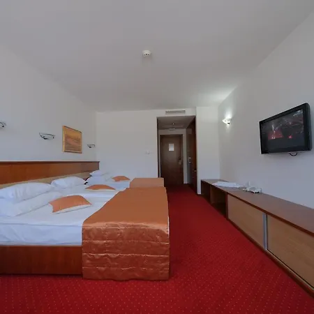 Mujanic Sarajevo Mostarsko Raskrsce