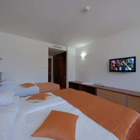 Motell Mujanic Sarajevo 4*