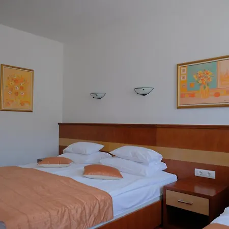 Mujanic Sarajevo 4*