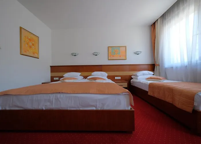 Mujanic Sarajevo Mostarsko Raskrsce