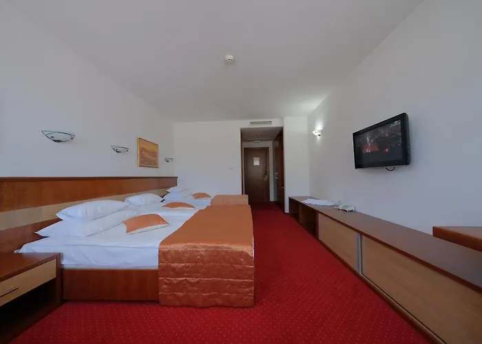 Mujanic Sarajevo Mostarsko Raskrsce