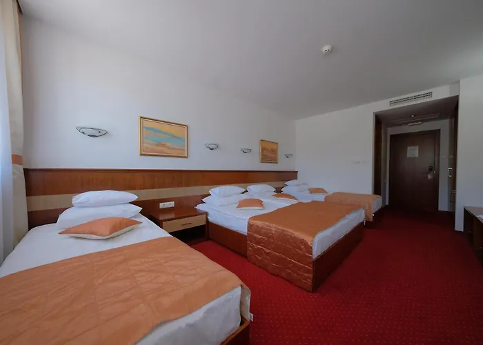 Mujanic Sarajevo Mostarsko Raskrsce