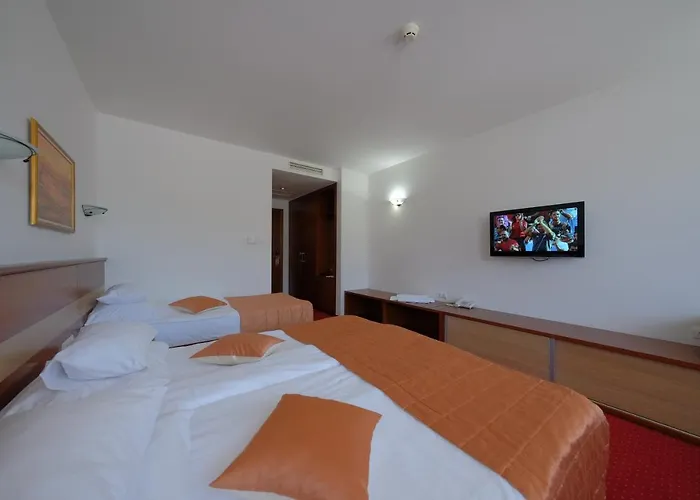 Motel Mujanic Sarajevo 4*